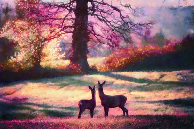 Rückblick von Helen White